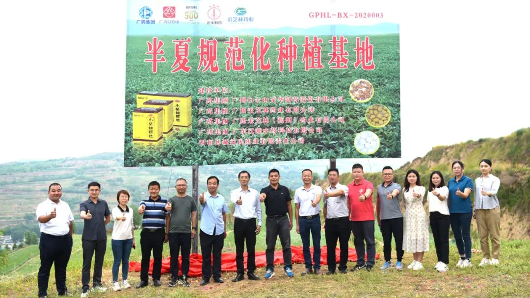 白云山必发7790公司实地考察调研中药材规范化基地